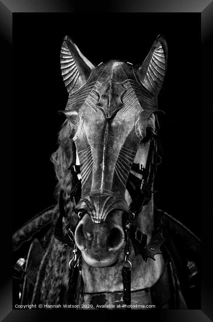 Knight's Horse Framed Print by Hannah Watson