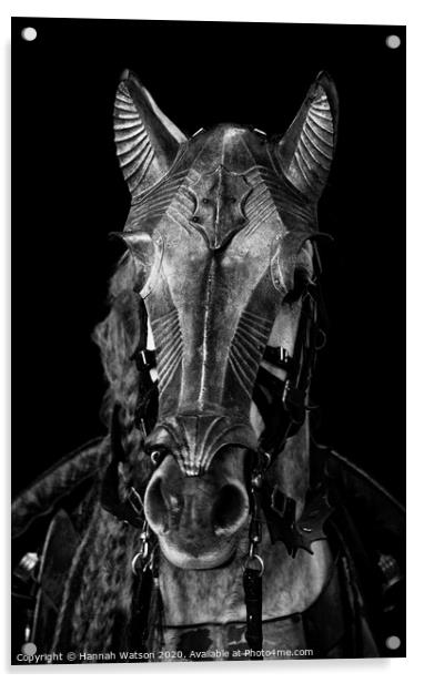 Knight's Horse Acrylic by Hannah Watson