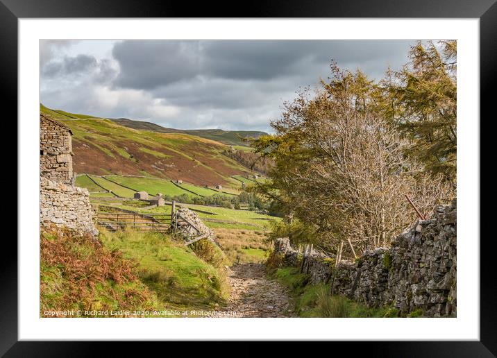 Down into Swaledale from Great Shunner Fell Framed Mounted Print by Richard Laidler