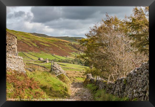 Down into Swaledale from Great Shunner Fell Framed Print by Richard Laidler