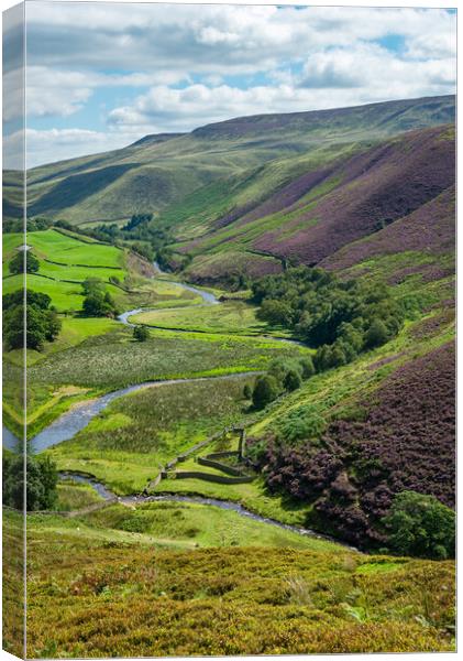 Woodlands Valley, Peak District Canvas Print by Andrew Kearton