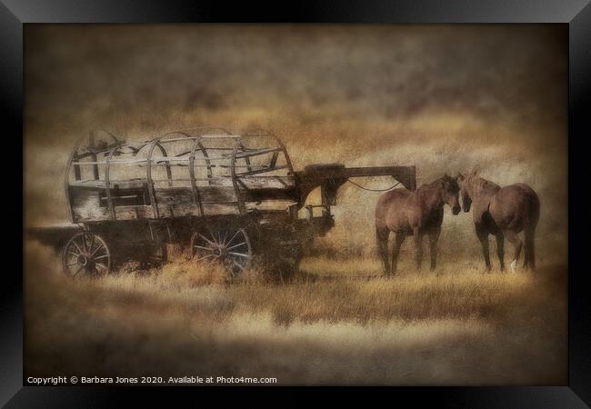 Covered Wagon and Horses Montana USA Framed Print by Barbara Jones