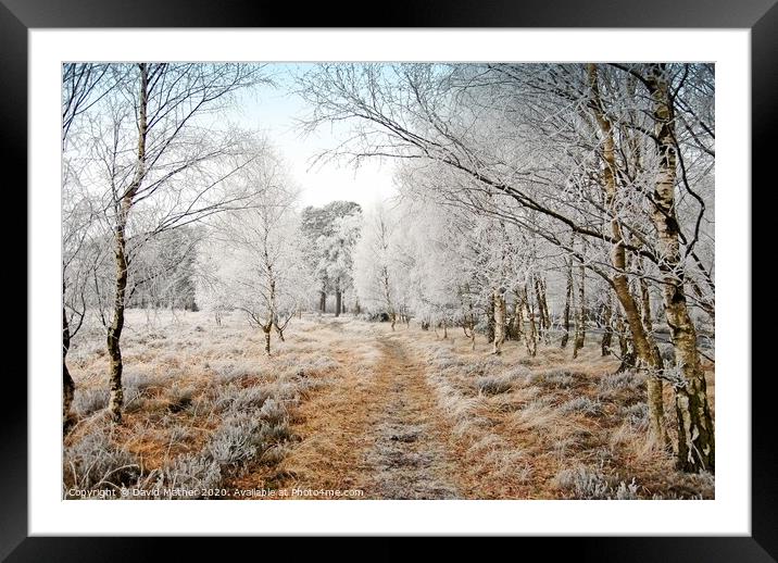 Frosted Track Framed Mounted Print by David Mather