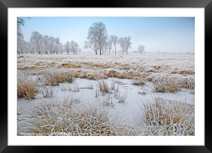Frozen in time Framed Mounted Print by David Mather