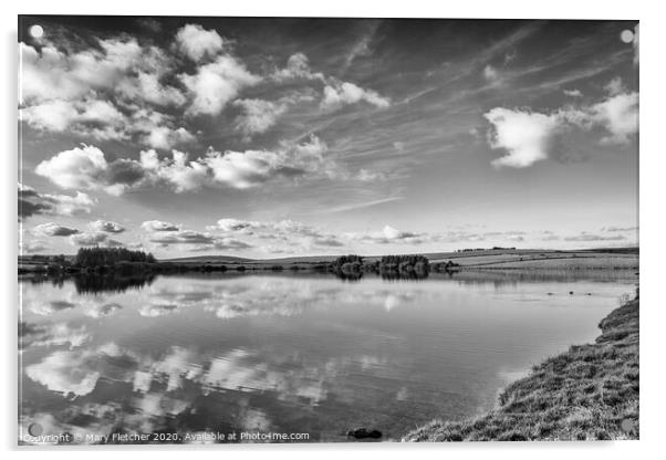 Siblyback Lake Reflections Acrylic by Mary Fletcher