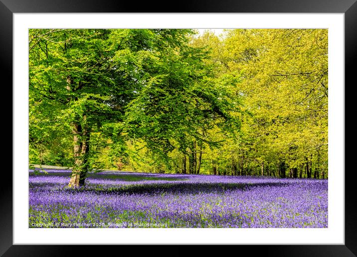 Blue Carpet Framed Mounted Print by Mary Fletcher