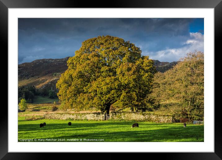Langdale Valley Framed Mounted Print by Mary Fletcher