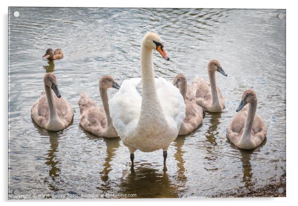 The Swan Family Acrylic by Harjit Samra