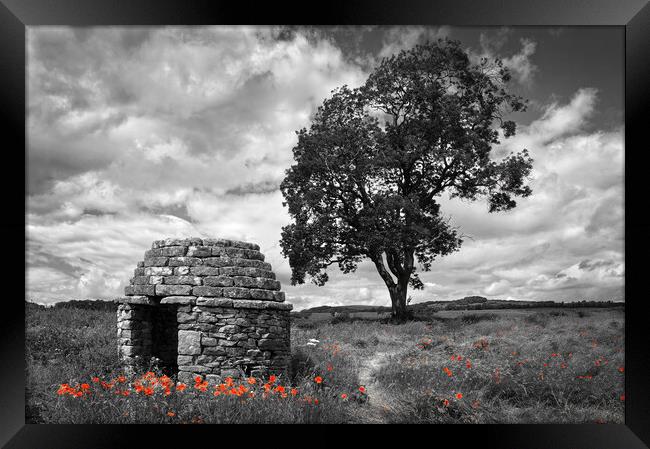 Stone Hut & Tree, Baslow, Derbyshire  Framed Print by Darren Galpin