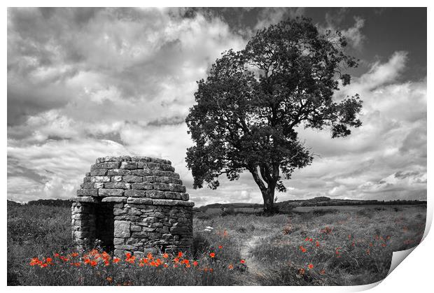 Stone Hut & Tree, Baslow, Derbyshire  Print by Darren Galpin