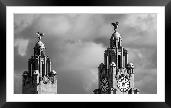 Liver Birds above Liverpool Framed Mounted Print by Jason Wells