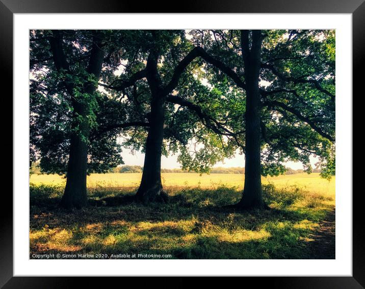 Autumns Golden Canopy Framed Mounted Print by Simon Marlow