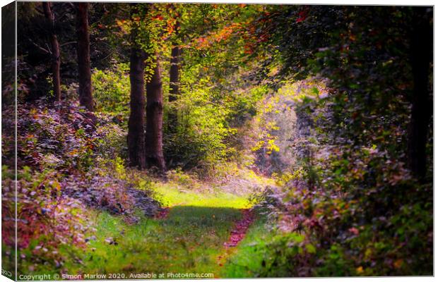 West Wycombe forest in the Autumn Canvas Print by Simon Marlow