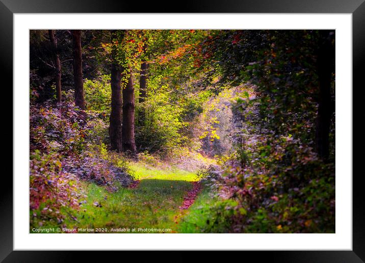 West Wycombe forest in the Autumn Framed Mounted Print by Simon Marlow
