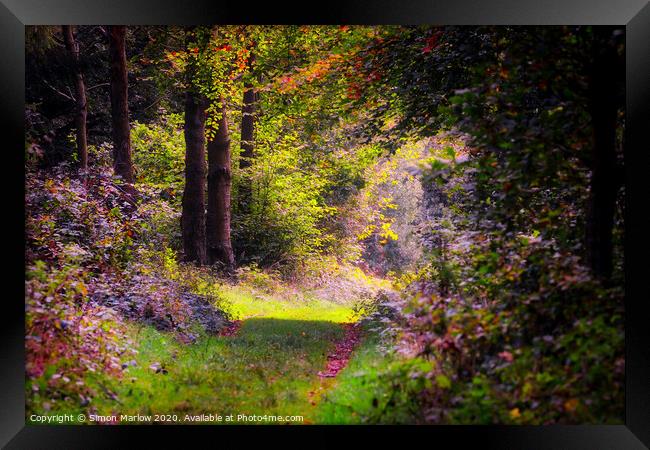 West Wycombe forest in the Autumn Framed Print by Simon Marlow