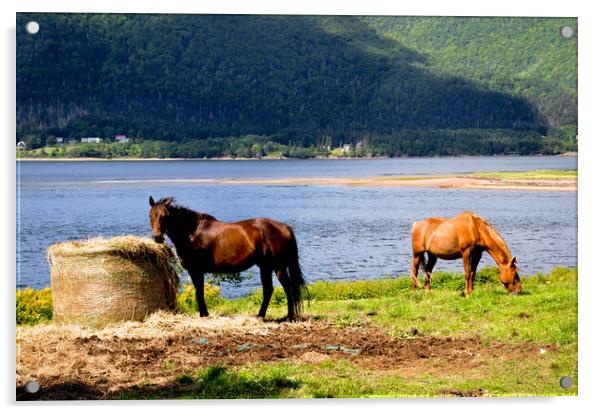Horses by the Atlantic Ocean Acrylic by Elaine Manley