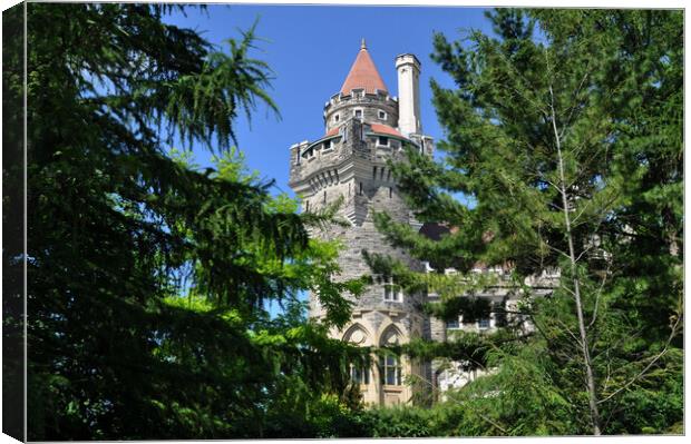    misc ..Castle through the Trees Canvas Print by Elaine Manley