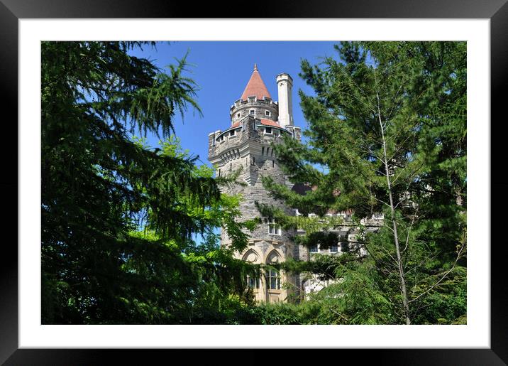    misc ..Castle through the Trees Framed Mounted Print by Elaine Manley