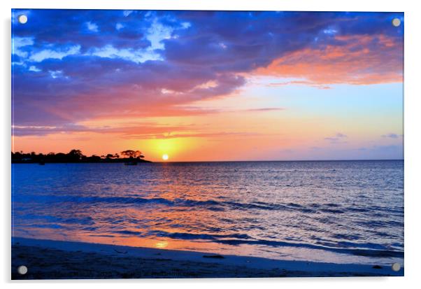 Jamaican Sunset Acrylic by Elaine Manley