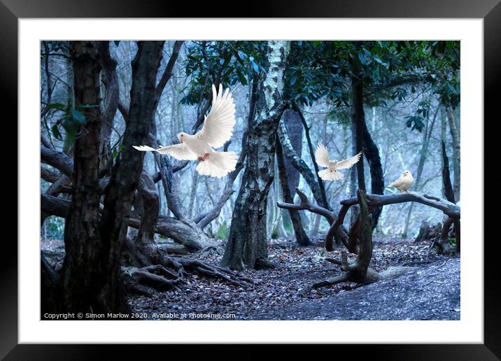 Majestic White Doves Framed Mounted Print by Simon Marlow