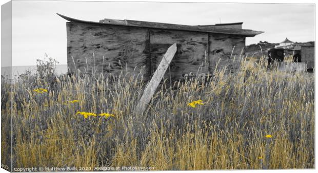 An old shak overgrowen with grass and flowers Canvas Print by Matthew Balls