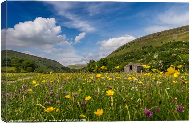 wildflower meadows Canvas Print by kevin cook