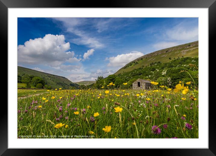 wildflower meadows Framed Mounted Print by kevin cook