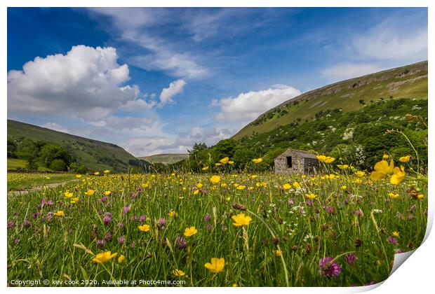 wildflower meadows Print by kevin cook