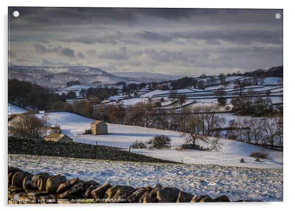 Wensleydale in the snow Acrylic by kevin cook