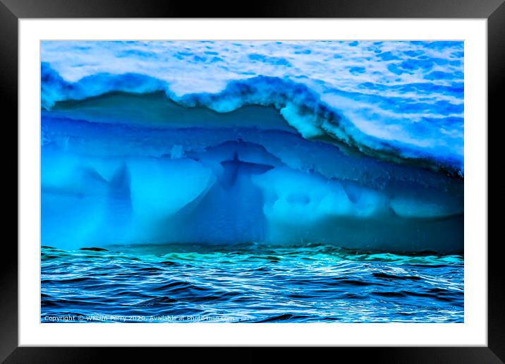 Floating Blue Green Iceberg Closeup Water Antarctica Framed Mounted Print by William Perry