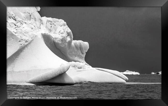 Black and White Floating Iceberg Closeup Water Antarctica Framed Print by William Perry