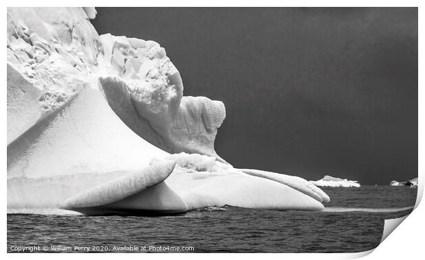 Black and White Floating Iceberg Closeup Water Antarctica Print by William Perry