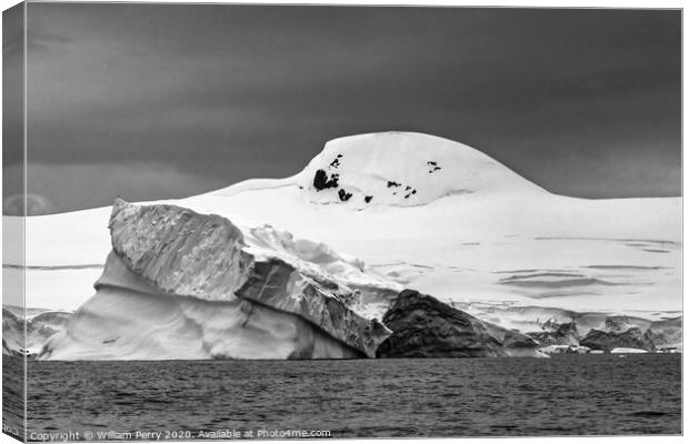 Black and White Floating Iceberg Charlotte Harbor Anarctica Canvas Print by William Perry
