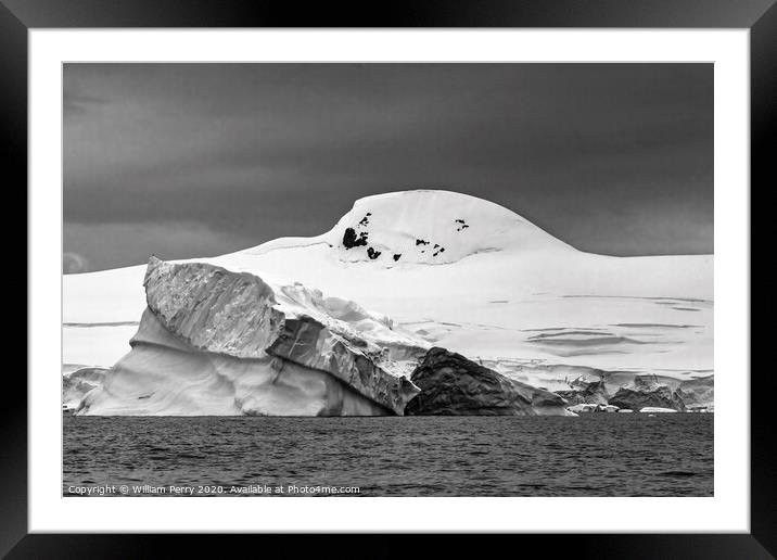 Black and White Floating Iceberg Charlotte Harbor Anarctica Framed Mounted Print by William Perry