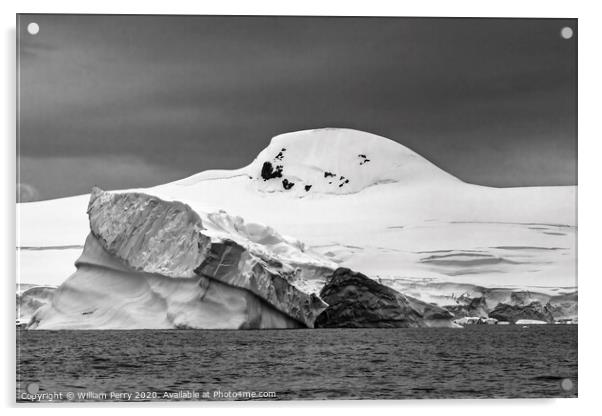 Black and White Floating Iceberg Charlotte Harbor Anarctica Acrylic by William Perry