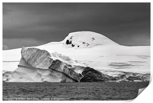 Black and White Floating Iceberg Charlotte Harbor Anarctica Print by William Perry