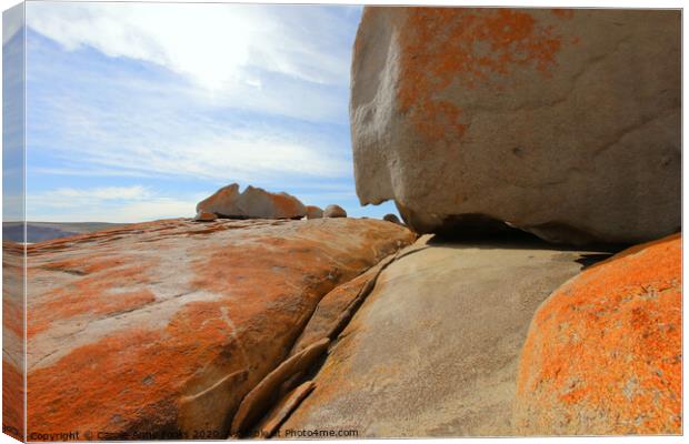 Remarkable Rocks Canvas Print by Carole-Anne Fooks