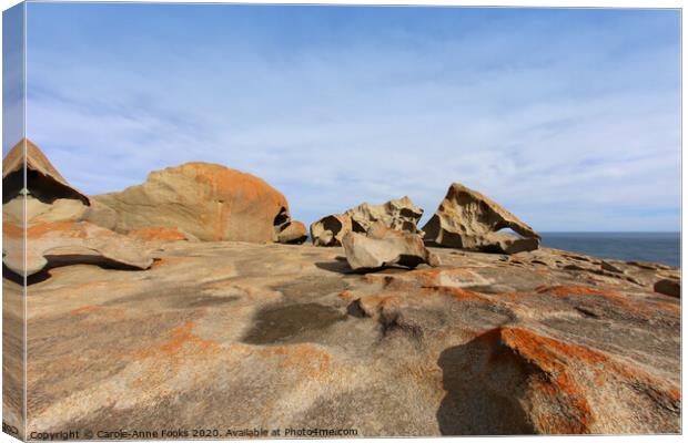 Remarkable Rocks Canvas Print by Carole-Anne Fooks