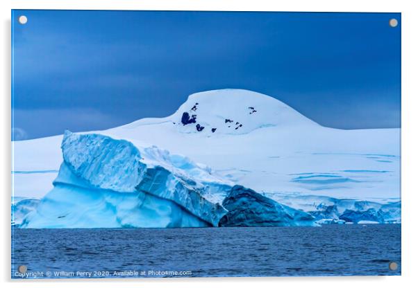 Floating Blue Iceberg Charlotte Harbor Antarctica Acrylic by William Perry
