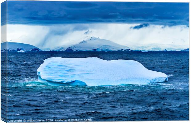 Floating Blue Iceberg Charlotte Bay Antarctica Canvas Print by William Perry