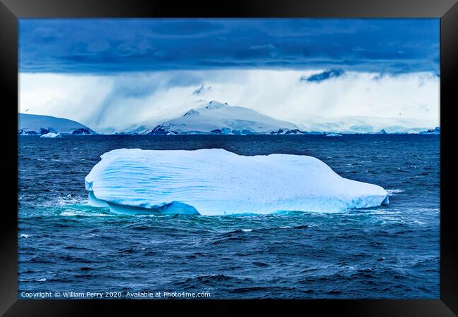 Floating Blue Iceberg Charlotte Bay Antarctica Framed Print by William Perry
