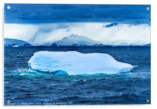 Floating Blue Iceberg Charlotte Bay Antarctica Acrylic by William Perry