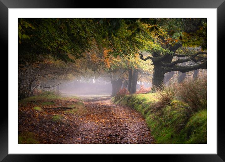 Autumn Countryside Framed Mounted Print by Rich Wiltshire