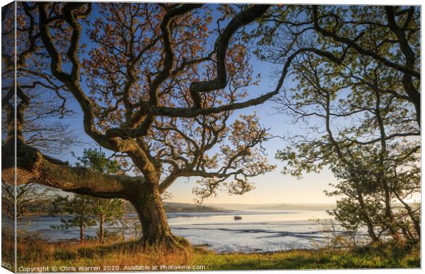 Tranquil river view in Pembrokeshire Canvas Print by Chris Warren