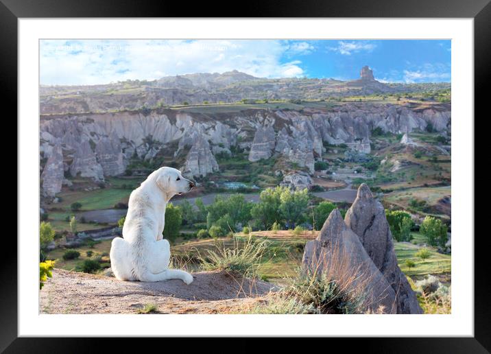 White dog sits and examines the mountain landscape of Cappadocia Framed Mounted Print by Sergii Petruk