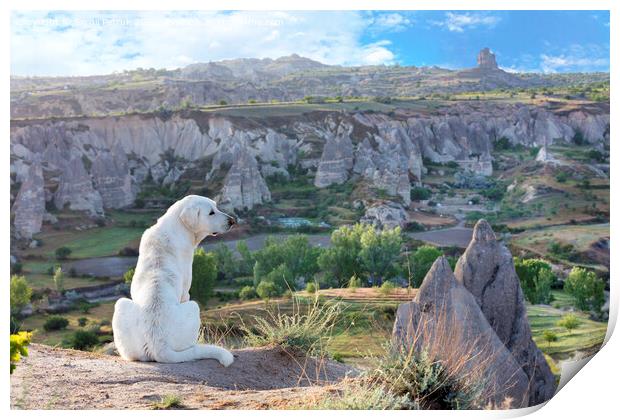 White dog sits and examines the mountain landscape of Cappadocia Print by Sergii Petruk