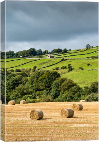 Hay bales in the Yorkshire Dales Canvas Print by Andrew Kearton