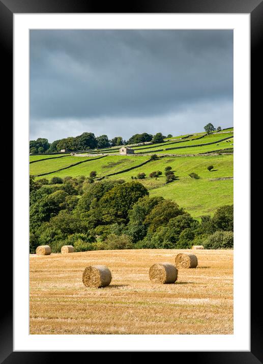 Hay bales in the Yorkshire Dales Framed Mounted Print by Andrew Kearton