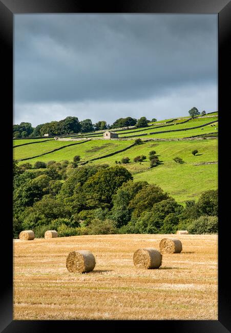 Hay bales in the Yorkshire Dales Framed Print by Andrew Kearton