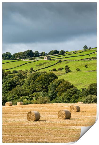 Hay bales in the Yorkshire Dales Print by Andrew Kearton